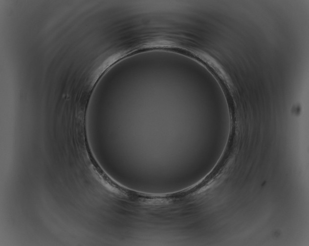X0000091711337200708241238