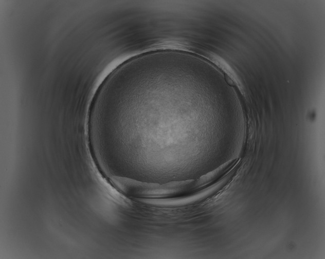 X0000091711339200708241238