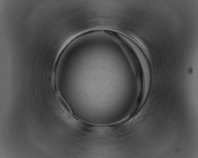 X0000091711340200708241238