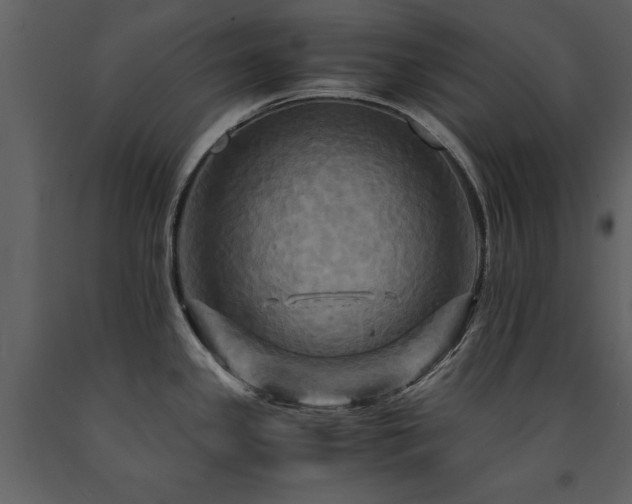 X0000091711341200708241238