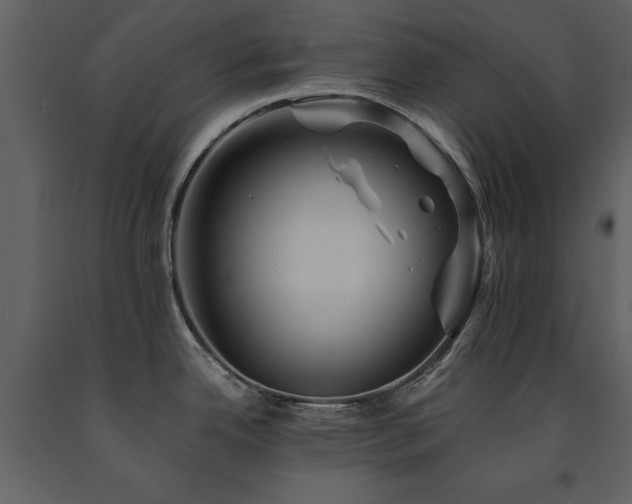 X0000091711342200708241238
