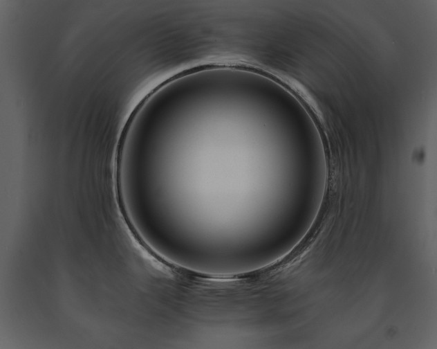 X0000091711343200708241238