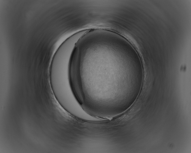 X0000091711344200708241238