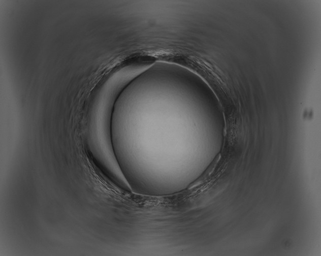 X0000091711345200708241237