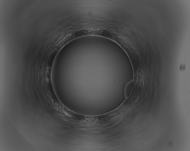 X0000091711346200708241237