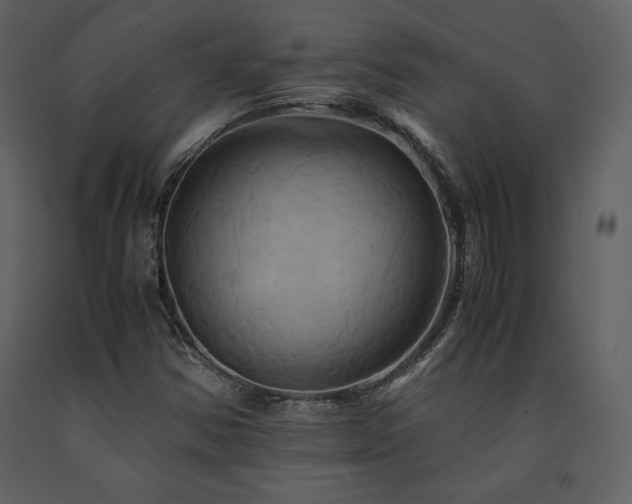 X0000091711354200708241237
