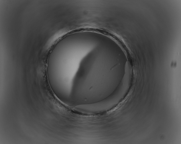 X0000091711359200708241236