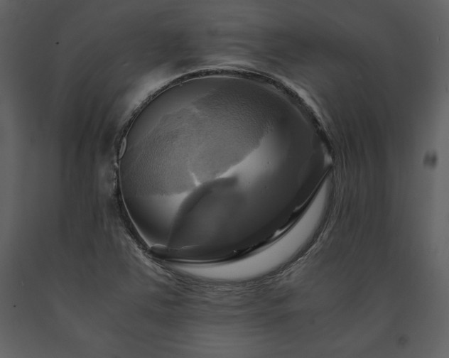 X0000091711363200708241236