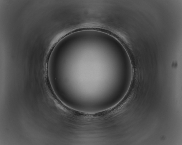 X0000091711366200708241236