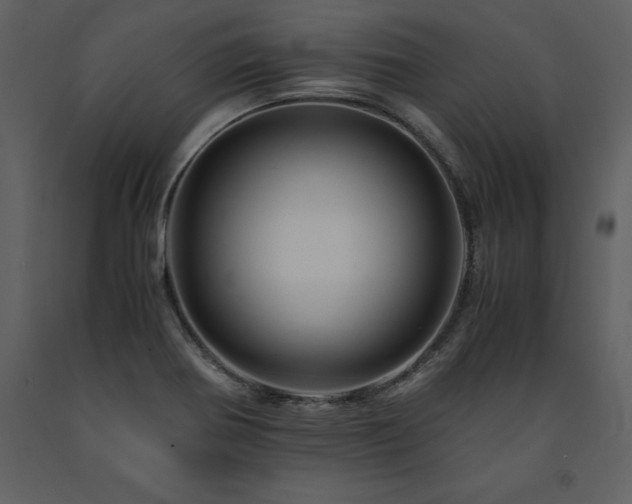 X0000091711370200708241236