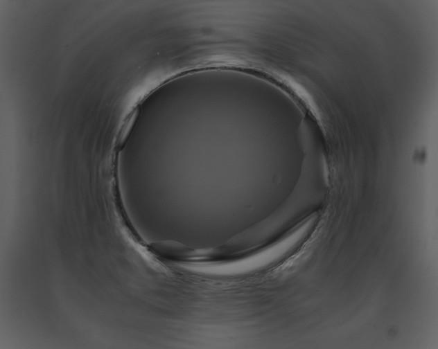 X0000091711373200708241236