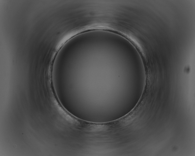 X0000091711382200708241236