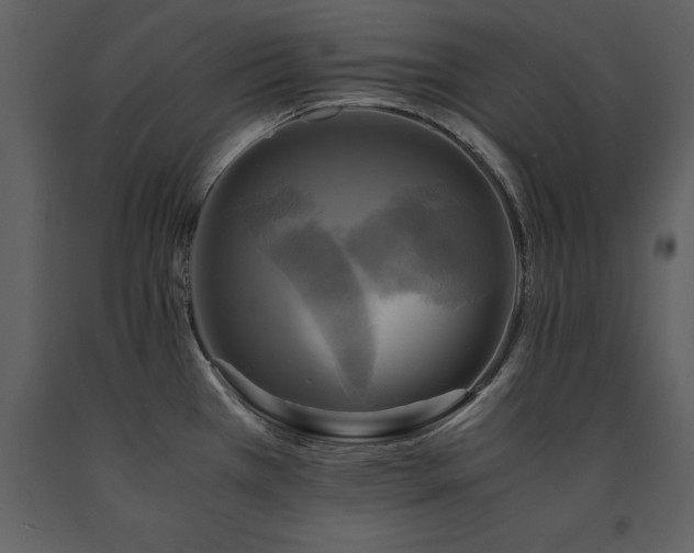 X0000091711385200708241236