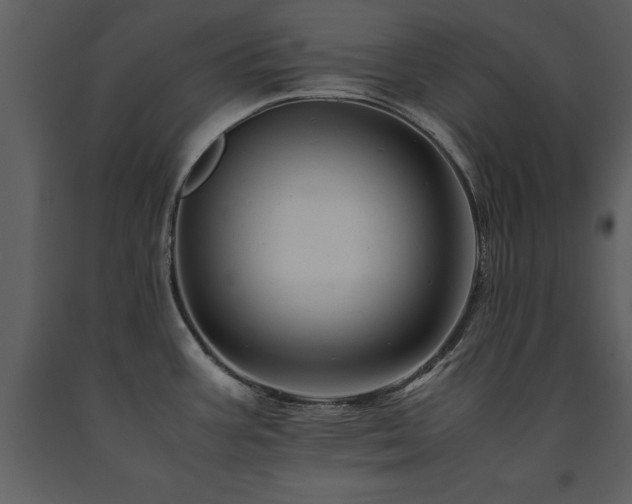 X0000091711387200708241236