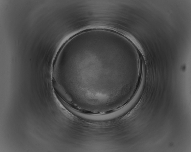 X0000091711388200708241236