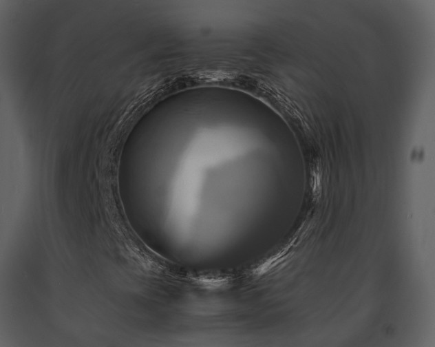 X0000091711393200708241235