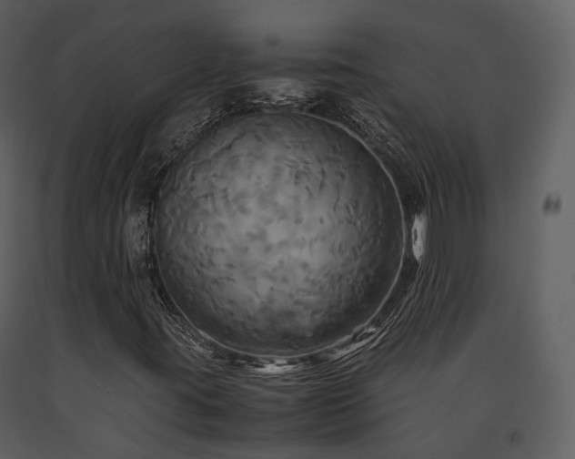X0000091711395200708241235
