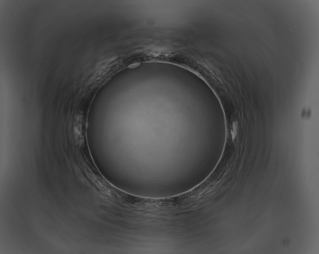 X0000091711396200708241235