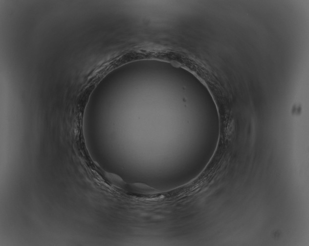 X0000091711397200708241235