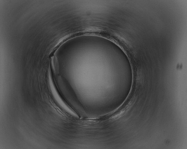 X0000091711401200708241235