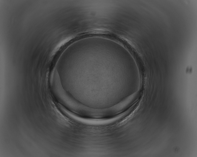 X0000091711402200708241235