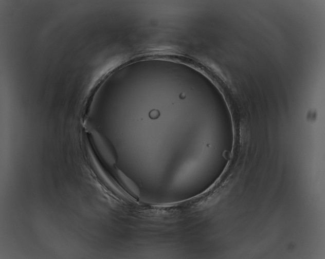 X0000091711405200708241235