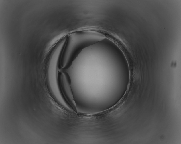 X0000091711406200708241235
