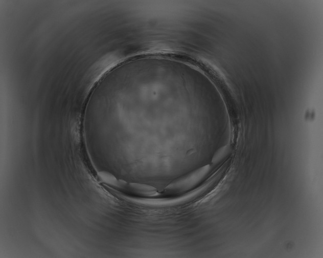 X0000091711409200708241235