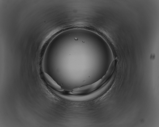 X0000091711410200708241235