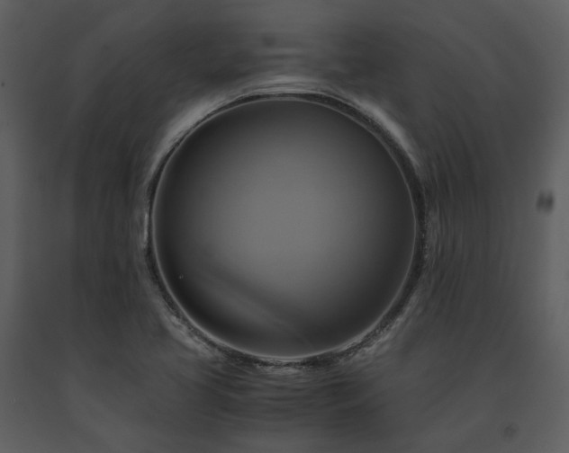 X0000091711413200708241235