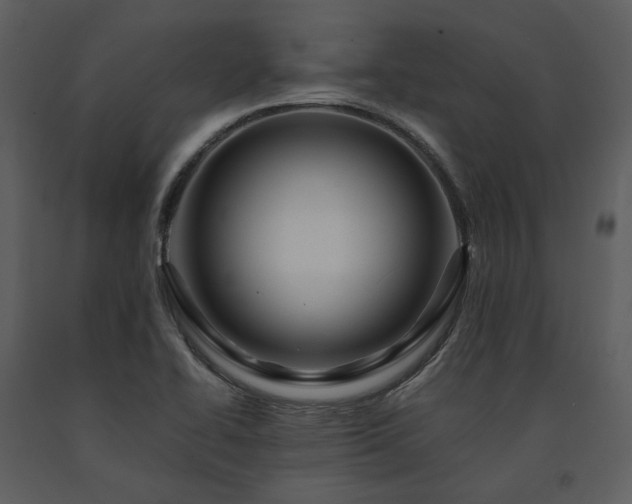 X0000091711414200708241235