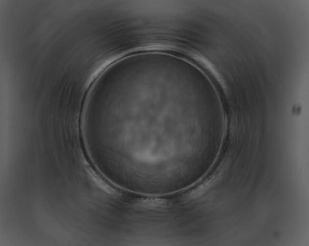 X0000091711417200708241235