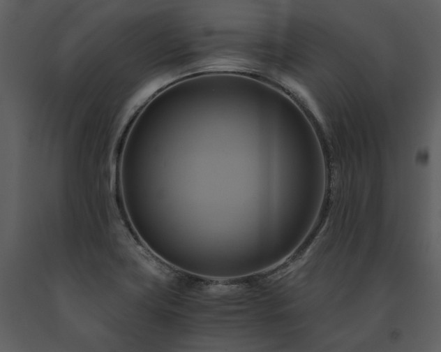 X0000091711419200708241236