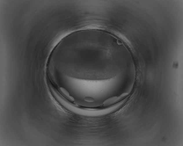 X0000091711423200708241236