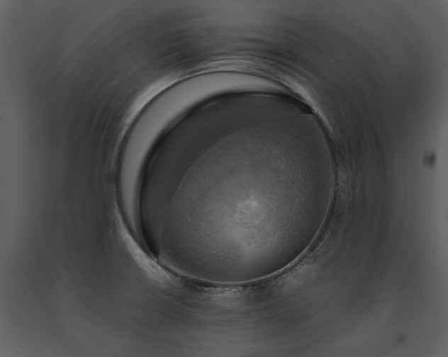 X0000091711426200708241236