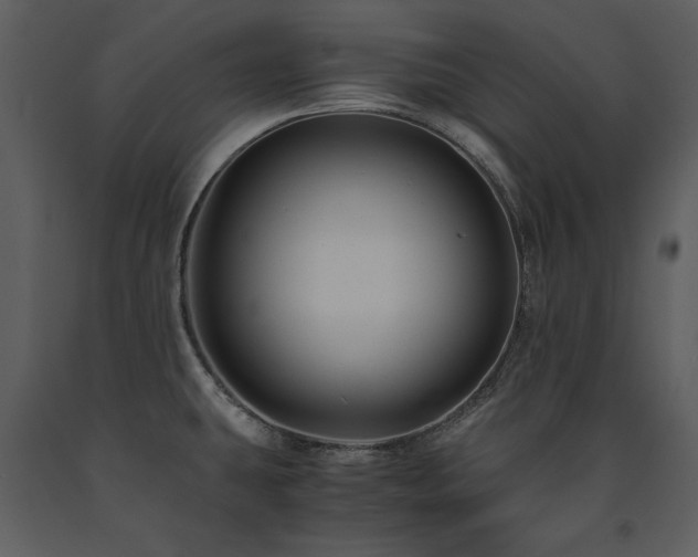 X0000091711431200708241236