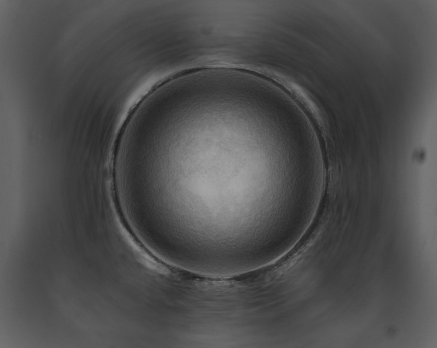 X0000091711432200708241236