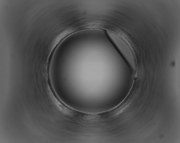 X0000091711434200708241236