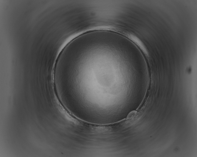 X0000091711436200708241236
