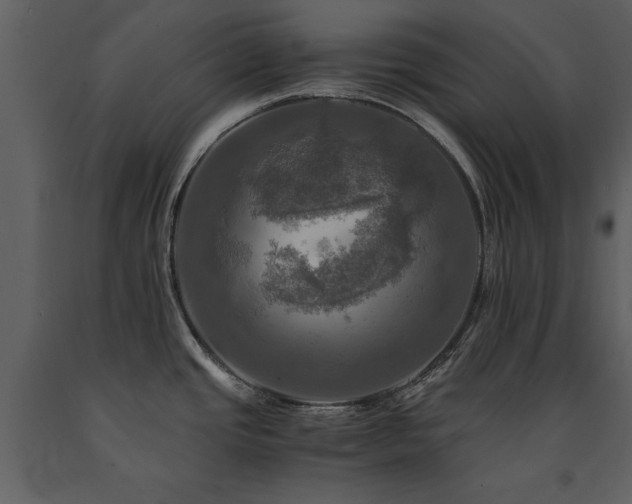 X0000091711437200708241236