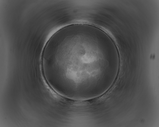 X0000091711440200708241236