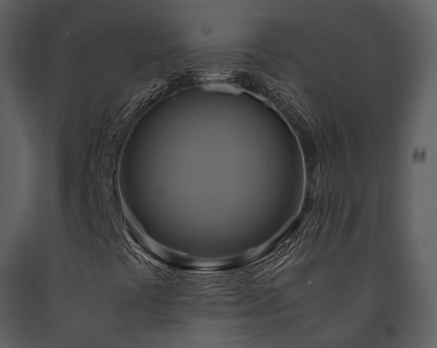 X0000091711441200708241235