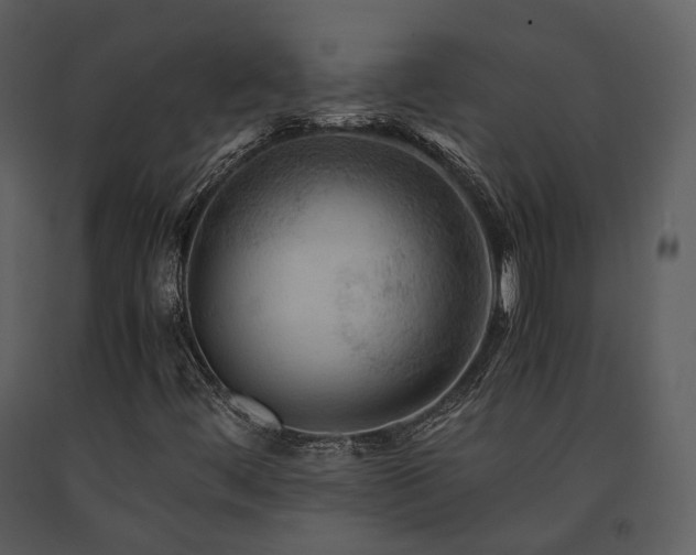 X0000091711444200708241235