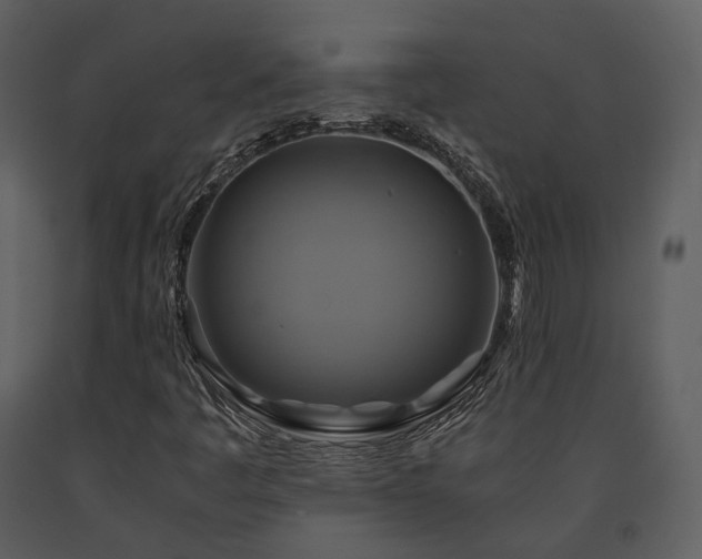X0000091711445200708241235