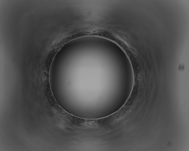 X0000091711447200708241235