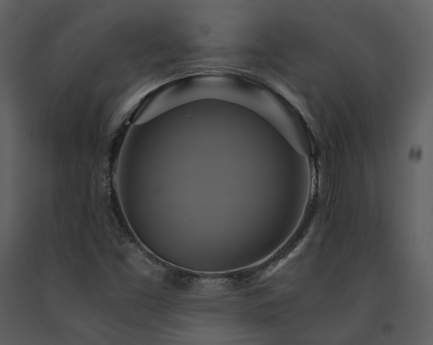 X0000091711453200708241235
