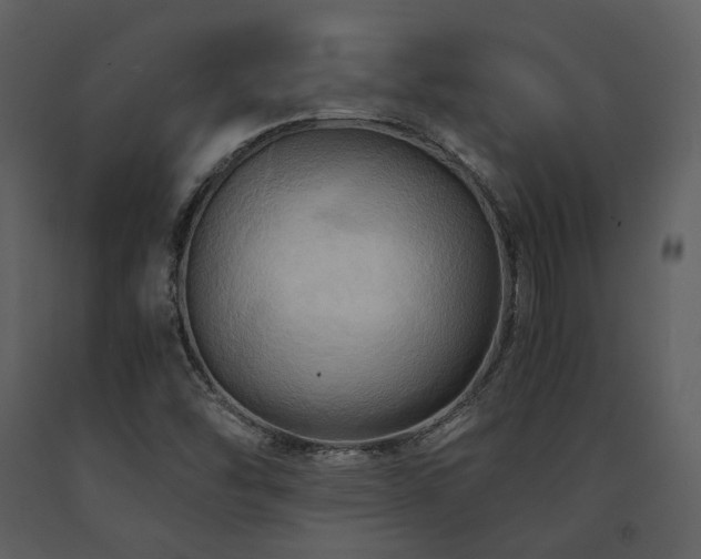 X0000091711454200708241235