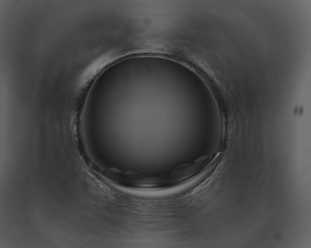 X0000091711455200708241235