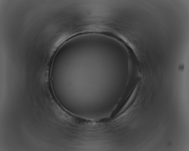 X0000091711459200708241235