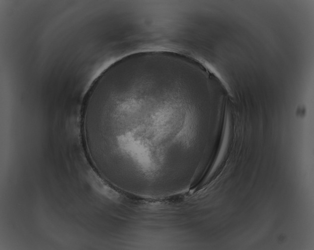 X0000091711460200708241235